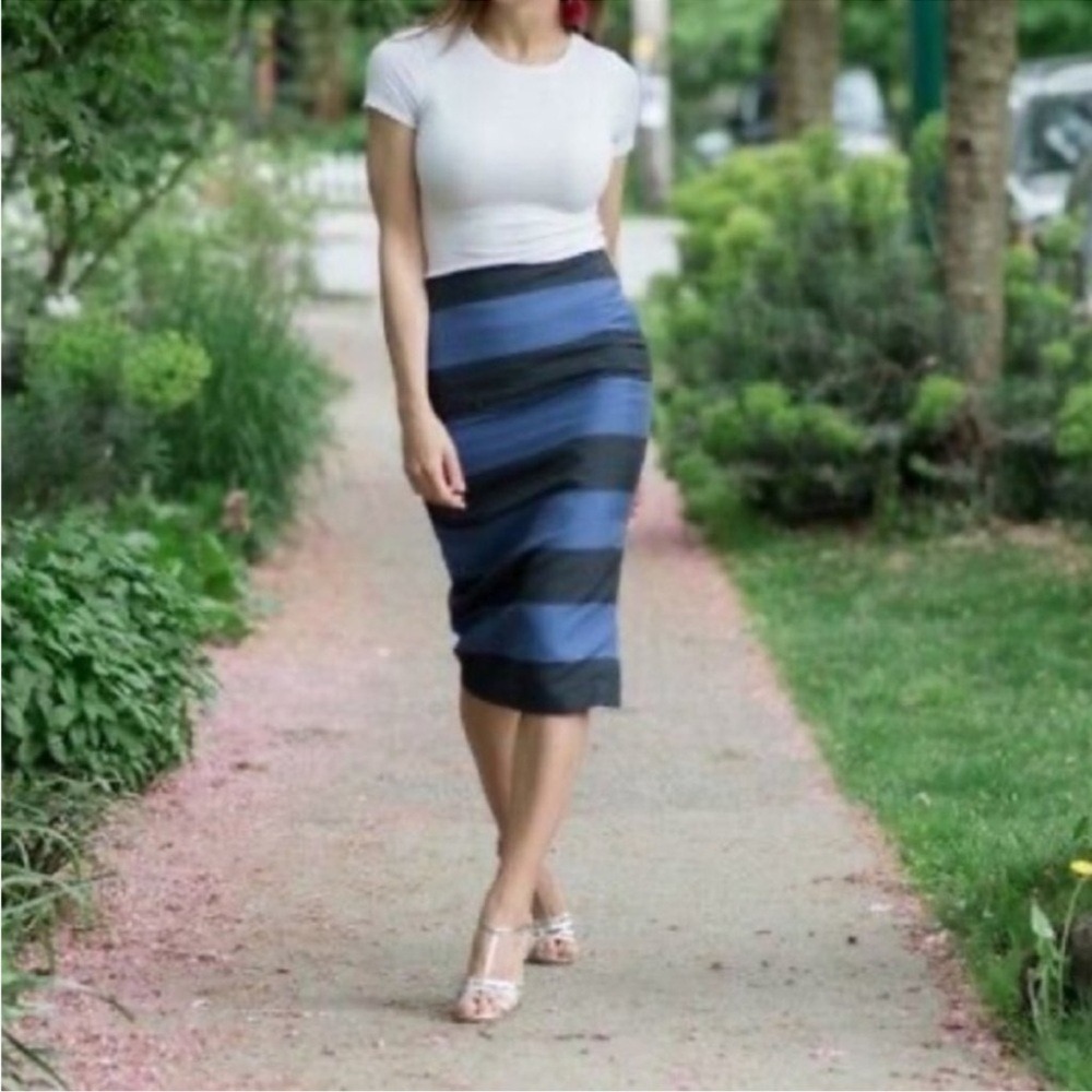 Banana Republic Striped Pencil Skirt Size 10 Navy Blue Royal Blue Midi Side Slit